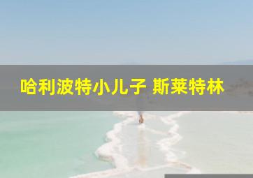 哈利波特小儿子 斯莱特林